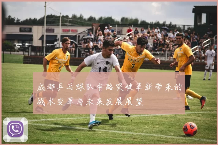 成都乒乓球队中路突破革新带来的战术变革与未来发展展望
