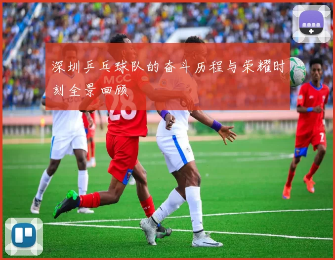 深圳乒乓球队的奋斗历程与荣耀时刻全景回顾