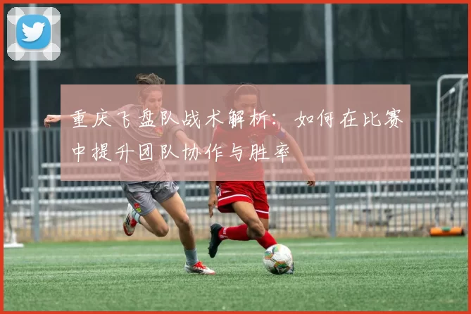 重庆飞盘队战术解析：如何在比赛中提升团队协作与胜率