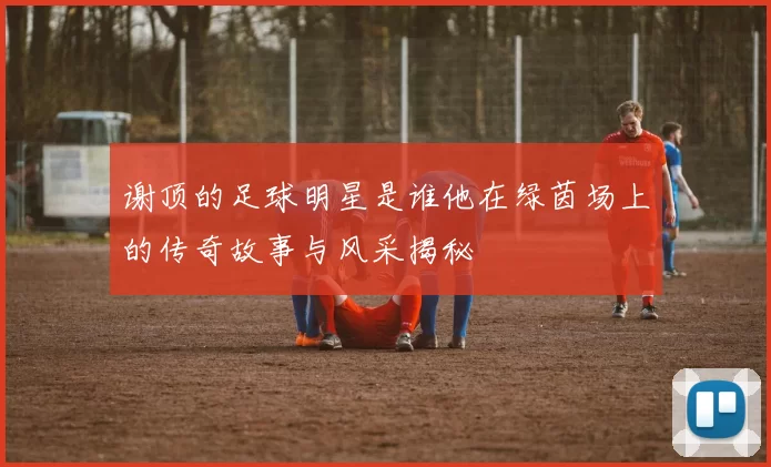 谢顶的足球明星是谁他在绿茵场上的传奇故事与风采揭秘