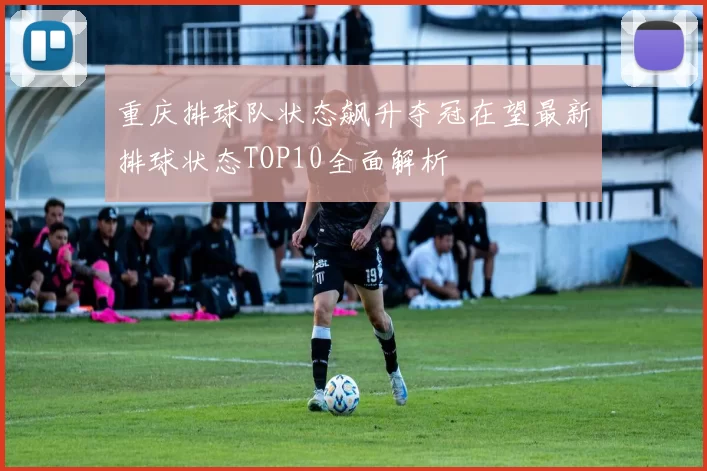 重庆排球队状态飙升夺冠在望最新排球状态TOP10全面解析