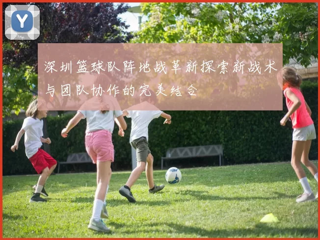 深圳篮球队阵地战革新探索新战术与团队协作的完美结合