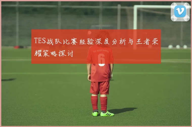 TES战队比赛经验深度分析与王者荣耀策略探讨