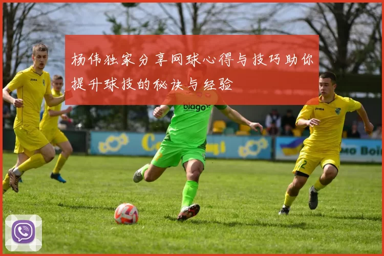 杨伟独家分享网球心得与技巧助你提升球技的秘诀与经验