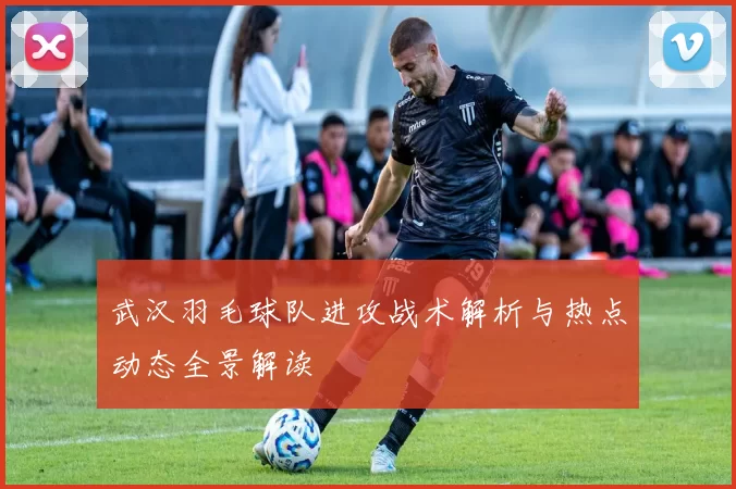 武汉羽毛球队进攻战术解析与热点动态全景解读