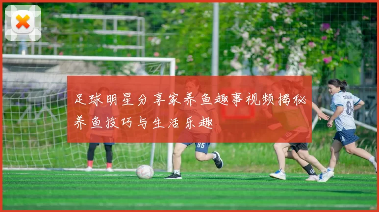 足球明星分享家养鱼趣事视频揭秘养鱼技巧与生活乐趣
