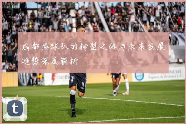 成都排球队的转型之路与未来发展趋势深度解析