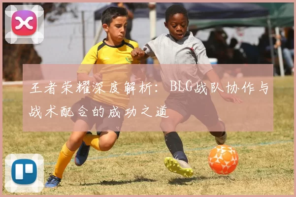 王者荣耀深度解析：BLG战队协作与战术配合的成功之道
