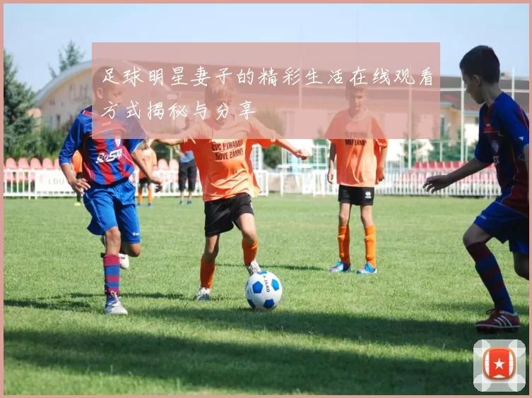 足球明星妻子的精彩生活在线观看方式揭秘与分享