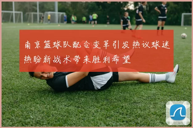 南京篮球队配合变革引发热议球迷热盼新战术带来胜利希望