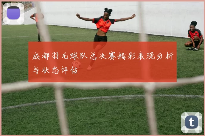 成都羽毛球队总决赛精彩表现分析与状态评估