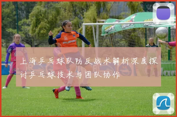 上海乒乓球队防反战术解析深度探讨乒乓球技术与团队协作