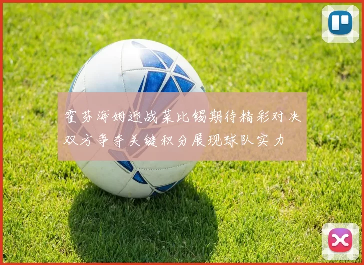 霍芬海姆迎战菜比锡期待精彩对决双方争夺关键积分展现球队实力