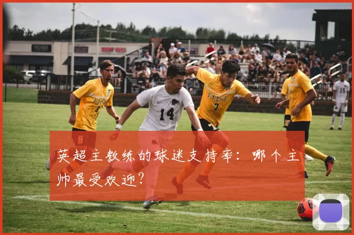 英超主教练的球迷支持率：哪个主帅最受欢迎？