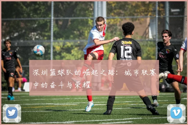 深圳篮球队的崛起之路：城市联赛中的奋斗与荣耀