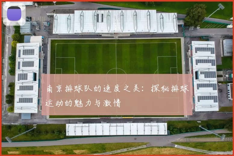 南京排球队的速度之美：探秘排球运动的魅力与激情
