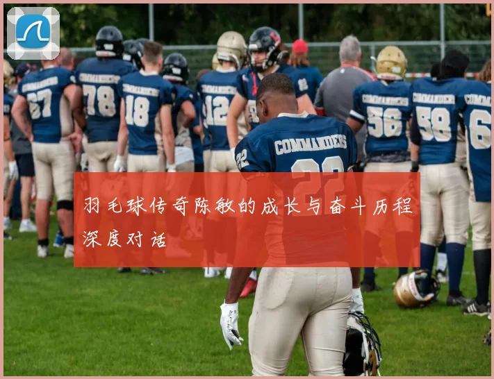羽毛球传奇陈敏的成长与奋斗历程深度对话