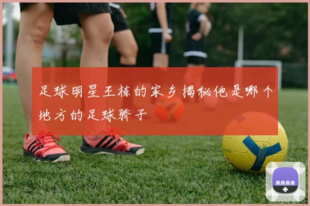 足球明星王栋的家乡揭秘他是哪个地方的足球骄子
