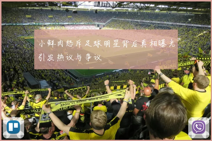小鲜肉怒斥足球明星背后真相曝光引发热议与争议