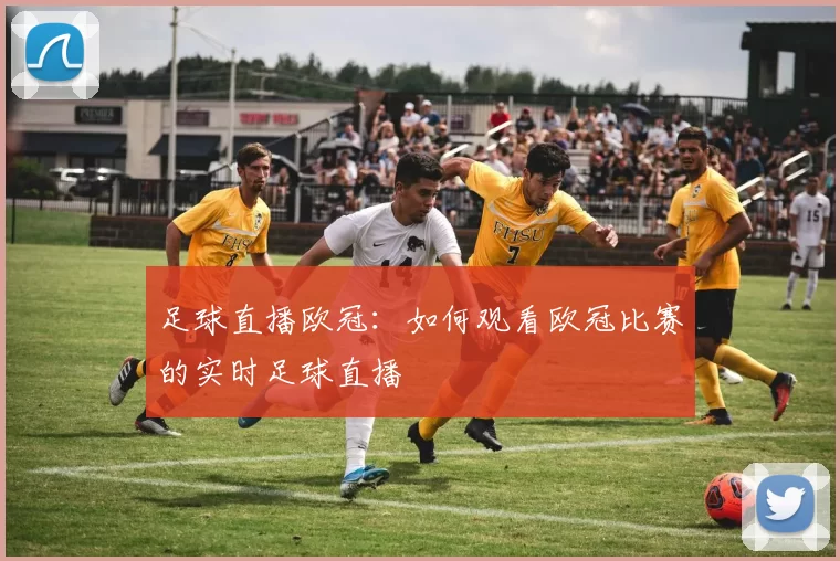 足球直播欧冠：如何观看欧冠比赛的实时足球直播