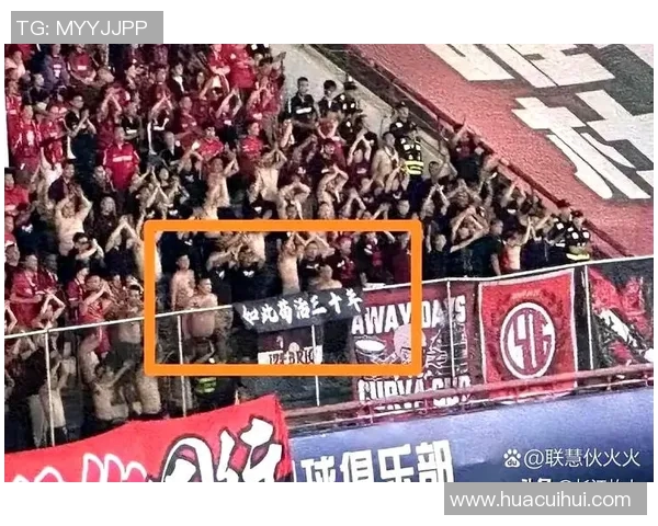 球迷文化的崛起与发展探析：激情、认同与现代社会的互动关系